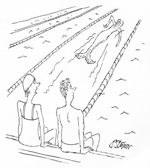 Cartoon of two swimmers watching a mermaid swimming laps